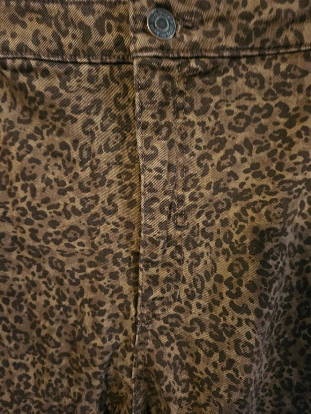 NWT Terra & Sky Cheeta print jeans Women's size 26W CUTE! FUN! - Picture 11 of 11